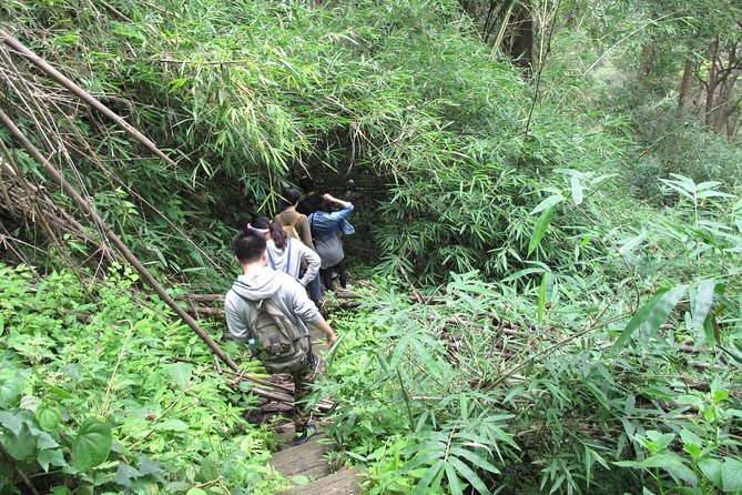 Small Group : Trekking Trip in Chiang Mai (Doi Suthep Area) with Market Tour - Price and value: is $62.91 a good deal?