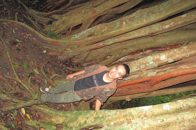 Small Group : Trekking Trip in Chiang Mai (Doi Suthep Area) with Market Tour - Should you book the Doi Suthep trek with market tour?