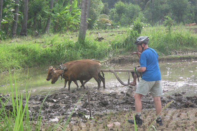 Snorkeling & Trekking at West Bali National Park - Quick note on weather and flexibility
