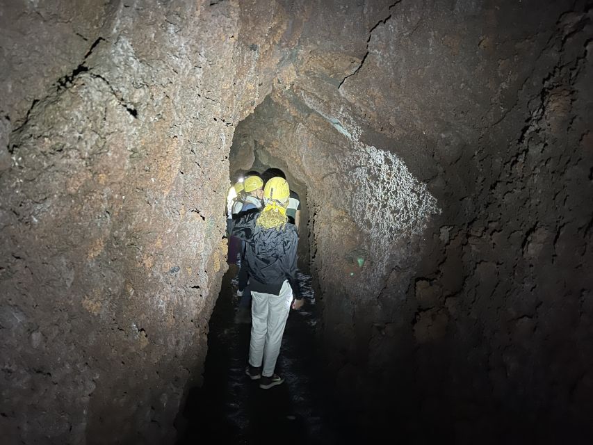 Special trekking on the most authentic and wild side of Etna - Price, Included Gear, and the Real Cost
