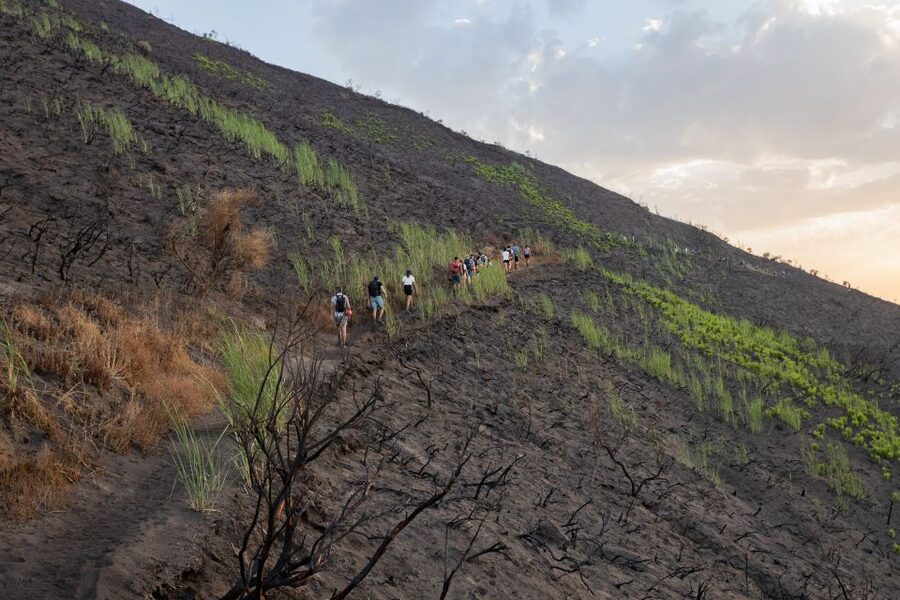 Stromboli: Sunset Trekking at Sciara del Fuoco - Price and value: why $35 makes sense here