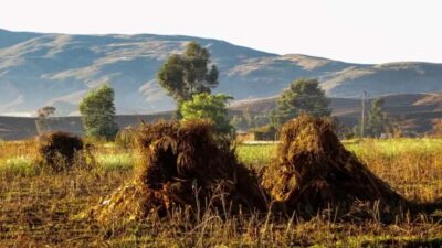 Sucre: 1-Day Trek in the Crater of Maragua and Inca Trails - The Camino del Inca walk: what that guided 12th-century trail feels like