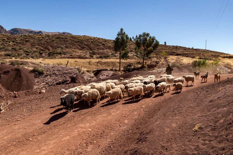 Sucre: 2 days trek in Inca Trails and the Crater de Maragua - Quick hits: what makes this trek memorable