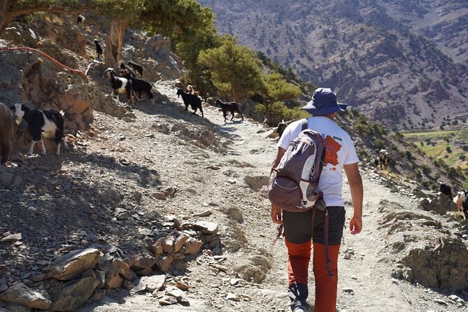 Summiting and Hiking the Atlas Mountains Day Trek from Marrakech - Guides, pacing, and what small groups do well