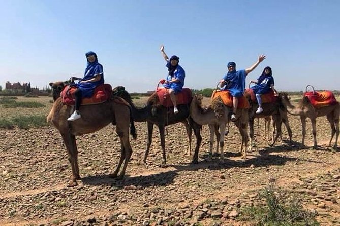 Summiting The Atlas Mountains, Day Hike & Trek From Marrakech - Morning transfer from Marrakech: AC comfort before the climb