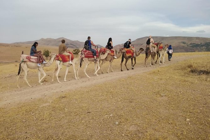 Summiting The Atlas Mountains, Day Hike & Trek From Marrakech - Lunch and Berber family time: the meal that makes it feel real