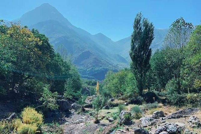 Summiting The Atlas Mountains, Day Hike & Trek From Marrakech - Returning to Marrakech: how the 8 hours usually feel