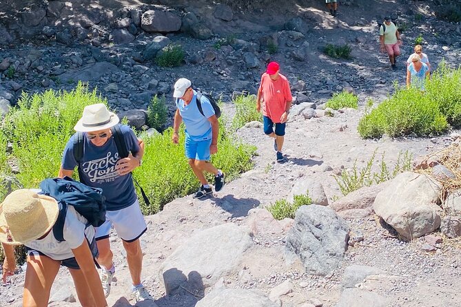 Summiting the Beautiful Atlas Mountains, Day Hike & Trek - Key highlights you’ll care about