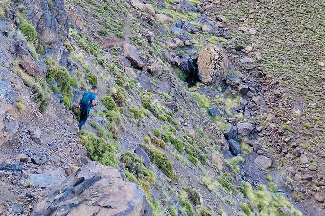 Summiting the Beautiful Atlas Mountains, Day Hike & Trek - Price and value: why $52.93 can work well for a full day