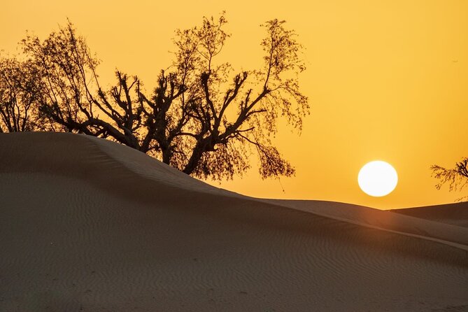 Sunrise/Morning Dune Drive with Camel Trek & Sand Surfing - Why a Sunrise Desert Safari Beats the Midday Heat