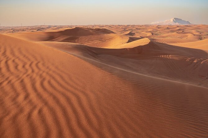 Sunrise/Morning Dune Drive with Camel Trek & Sand Surfing - Camel Trek: Slower Pace After the Speed