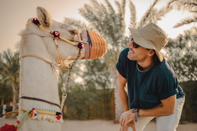 Sunrise/Morning Dune Drive with Camel Trek & Sand Surfing - Quad Bikes and ATV Options: Know What’s Not Included