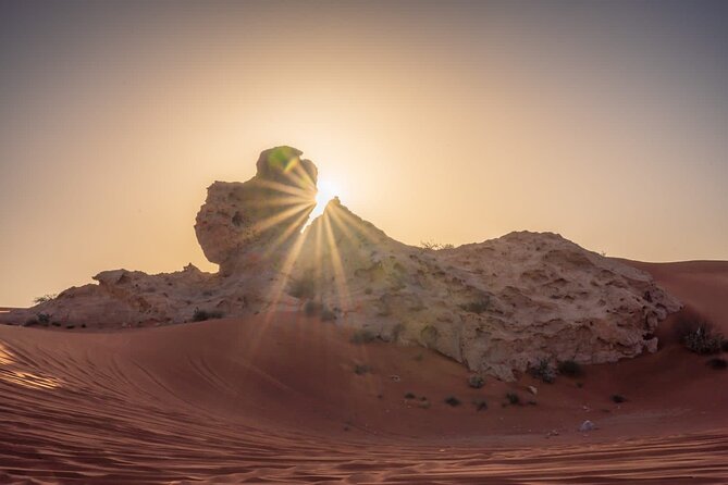 Sunrise/Morning Dune Drive with Camel Trek & Sand Surfing - Price and What You Get for $219.20 Per Group