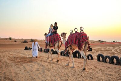 Sunset Camel Trek & Red Dunes Safari with BBQ at Al Khayma Camp From Dubai - Majilis-Style Desert Camp Time: Less Rush, More Doing