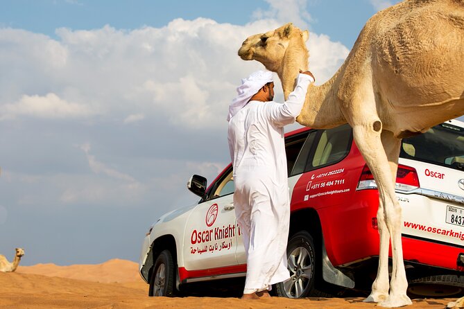 Sunset Camel Trekking with Falcon Show & VIP BBQ Dinner - Key things that make this desert evening work