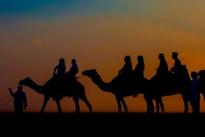 Sunset Camel Trekking with Falcon Show & VIP BBQ Dinner - The camel caravan: getting on, staying comfy, and watching sunset