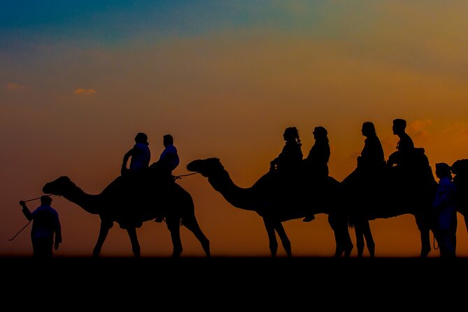 Sunset Camel Trekking with Falcon Show & VIP BBQ Dinner - The camel caravan: getting on, staying comfy, and watching sunset
