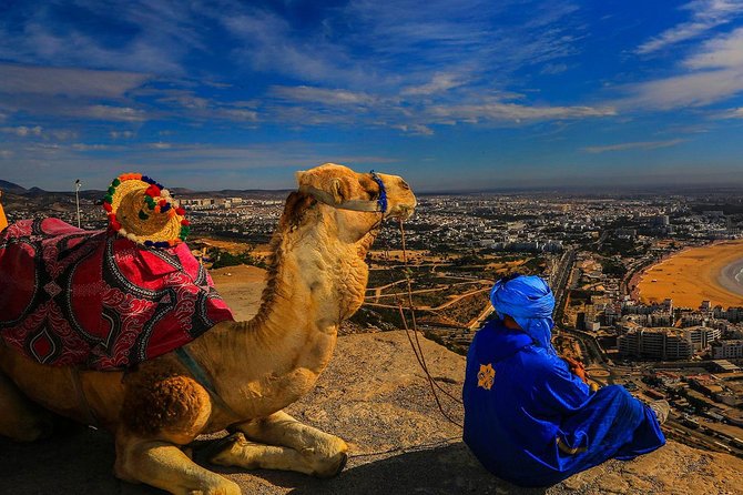 Tangier city break : Scenic Drive and Camel Trek - Price and Value: Why $57 Can Work Well for What You Get