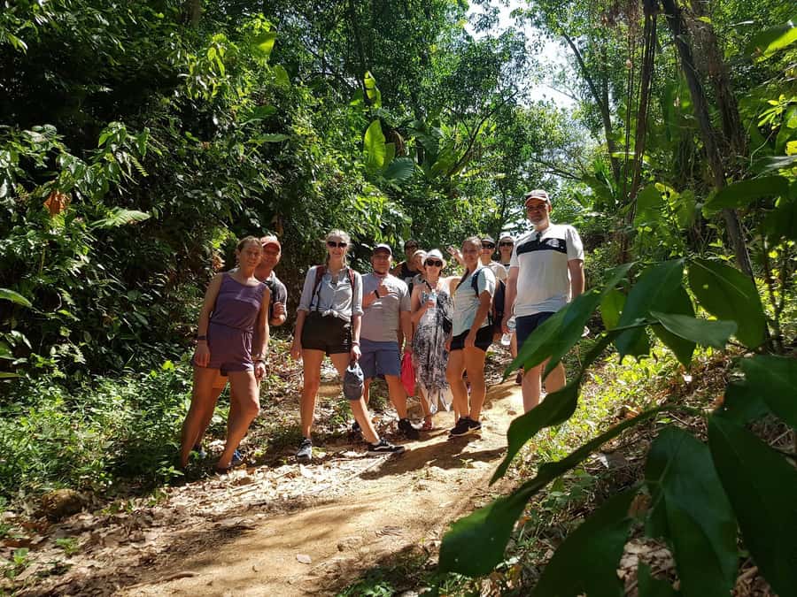 Temple and Jungle Trekking tour with Lunch at Farm-to-Table - Who should book this jungle + temple day?
