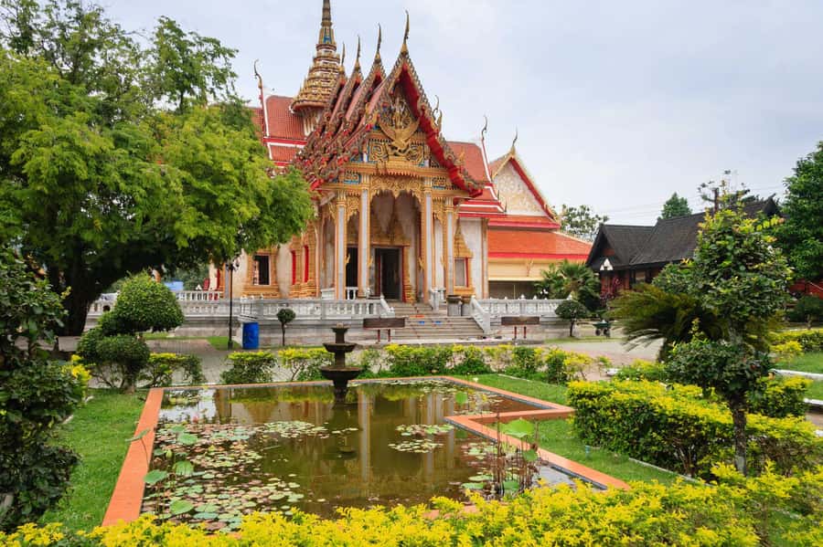 Temple and Jungle Trekking tour with Lunch at Farm-to-Table - Big Buddha Hill: you can’t enter, but you can still get the shot
