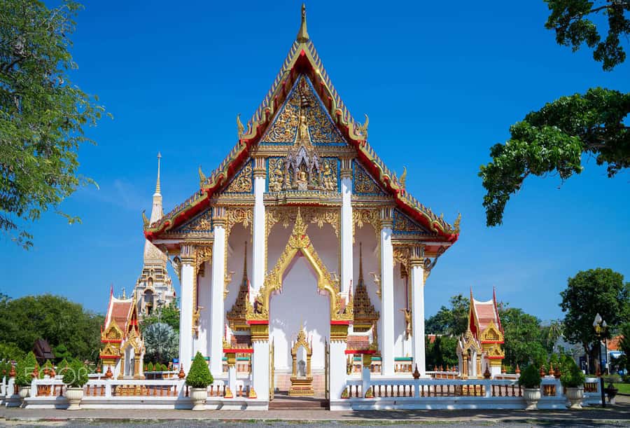Temple and Jungle Trekking tour with Lunch at Farm-to-Table - Price and value at $49: what you’re really paying for