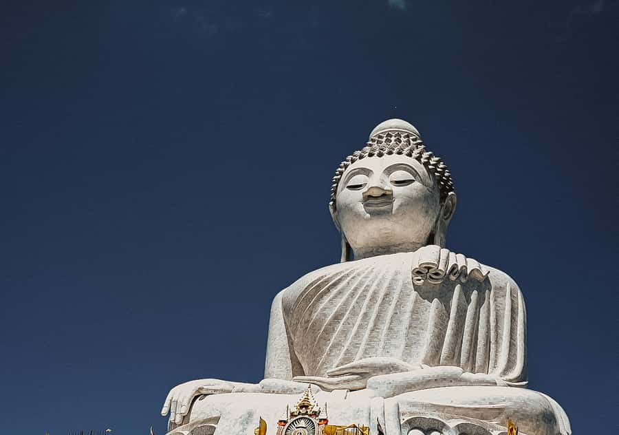 Temple and Jungle Trekking tour with Lunch at Farm-to-Table - 10:30 pickup and the ride that keeps things smooth