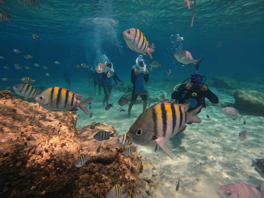 Tenerife: Underwater Walk - Sea Trek Experience - Key things to know before you go