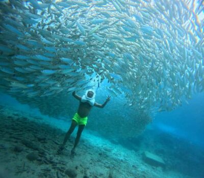 Tenerife: Underwater Walk - Sea Trek Experience - Paseo Aquilino check-in: briefing, fitting, and calm coaching