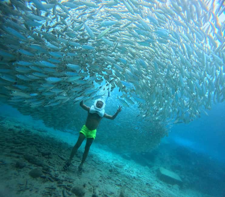 Tenerife: Underwater Walk - Sea Trek Experience - Paseo Aquilino check-in: briefing, fitting, and calm coaching