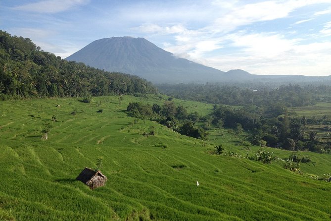 Tenganan Village Rice Field Trekking Tour - Rice Terraces to Tenganan: The Real Goal of This 8-Hour Day
