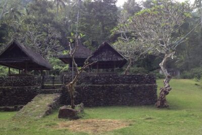 Tenganan Village Rice Field Trekking Tour - From South Bali or Candidasa: Transport That Actually Helps