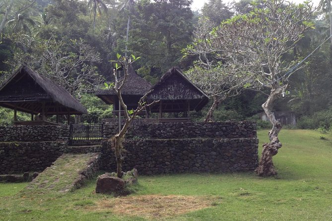 Tenganan Village Rice Field Trekking Tour - From South Bali or Candidasa: Transport That Actually Helps