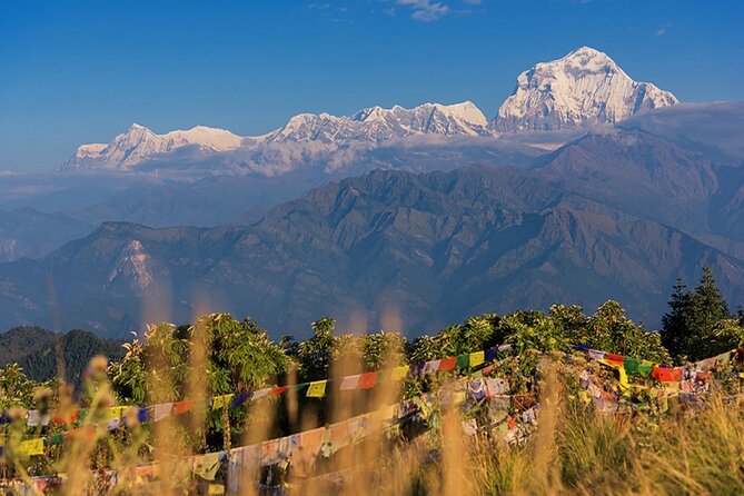 The Best of Nepal : 5-Day Trek to Ghorepani Poon Hill & Ghandruk - Ulleri onward: moderate trekking through villages and forest