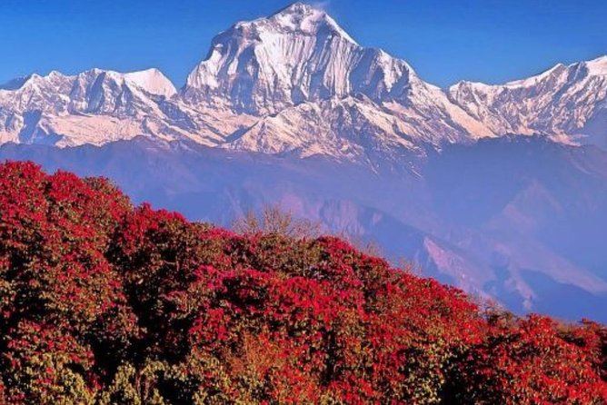 The Best of Nepal : 5-Day Trek to Ghorepani Poon Hill & Ghandruk - The Poon Hill payoff: sunrise to a high-point view at 3,210m