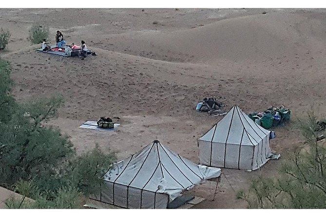The secret of the camel trekking desert - Bivouacs, firelight, and why the evenings matter