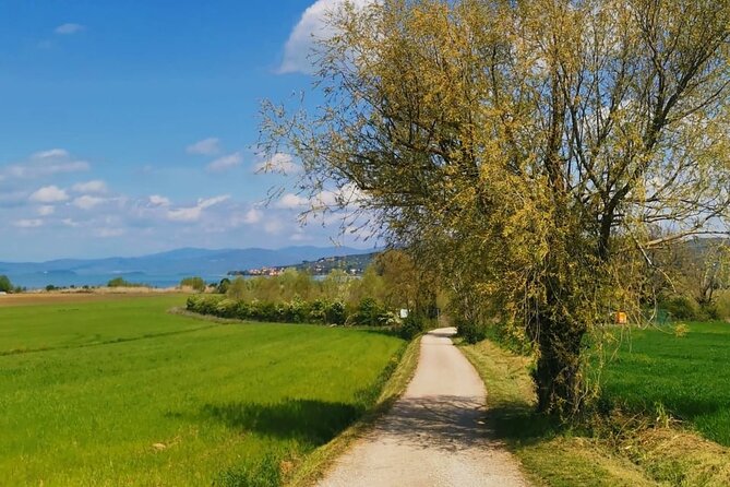 The spell of Lake Trasimeno - Trekking Tour - Panicale Start: What This Walk Feels Like From the First Minute