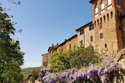 The spell of Lake Trasimeno - Trekking Tour - The 10km Loop Trek Around the Lake: Easy Altitude, Real Footing
