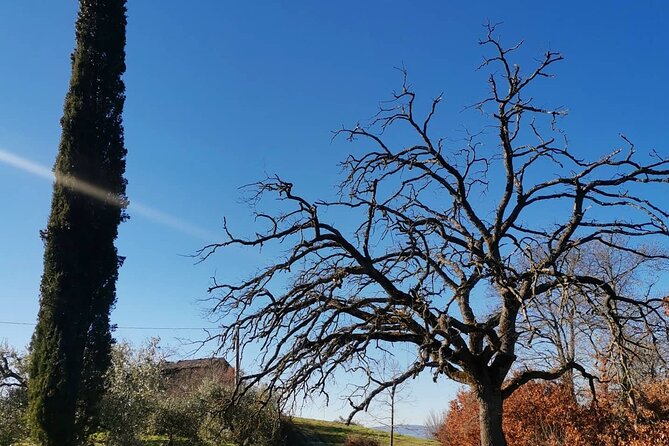 The spell of Lake Trasimeno - Trekking Tour - Timing and Pace: How to Fit 3 Hours Into Your Day