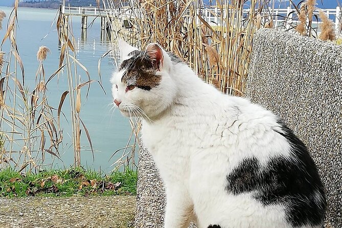 The spell of Lake Trasimeno - Trekking Tour - Who This Trek Is Best For (And Who Should Think Twice)