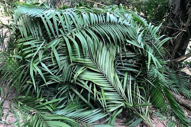 The Ultimate Hiker’s Choice - 5 days forest trek with homestay and camping - Where the 5 days in Laos really feel different