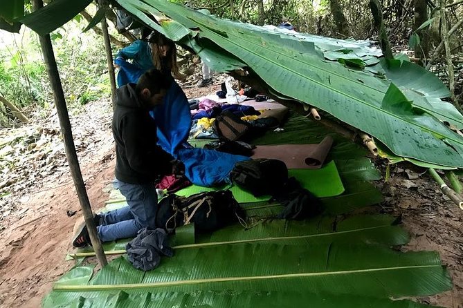 The Ultimate Hiker’s Choice - 5 days forest trek with homestay and camping - Day 3: Salt lick wildlife stops and a smoother pace