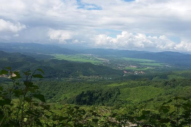 The Ultimate Hiker’s Choice - 5 days forest trek with homestay and camping - Day 1: Market shopping, rice fields, and your first forest campsite
