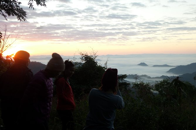 The Wild Explorer - 3 days forest trek with homestay and camping - Price and value: why $154 can work (if you pack smart)