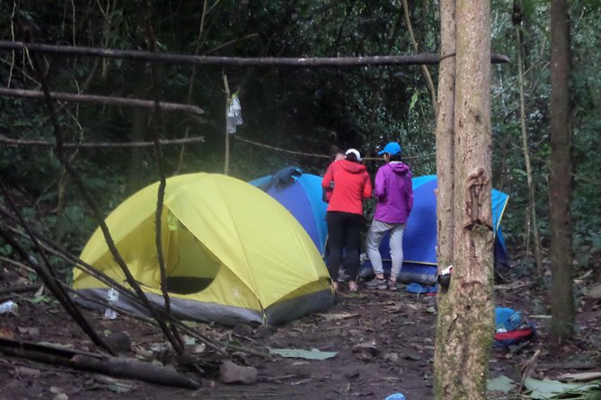 The Wild Explorer - 3 days forest trek with homestay and camping - Your 3-day flow: jungle trekking, sunrise camping, and village time