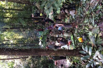 The Wild Explorer - 3 days forest trek with homestay and camping - Meeting point and timing that shape your whole day