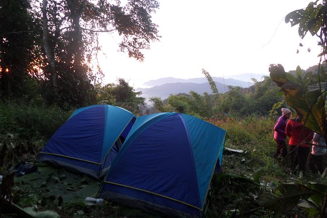 The Wild Explorer - 3 days forest trek with homestay and camping - Camping by the stream: sunrise views, plus bug reality