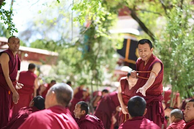 Tibet Tour 15 Days Lhasa to Kailash Trekking Small Group via EBC - Manasarovar Side Trip: Wetlands, Forest Park, and Sage Valley Drives