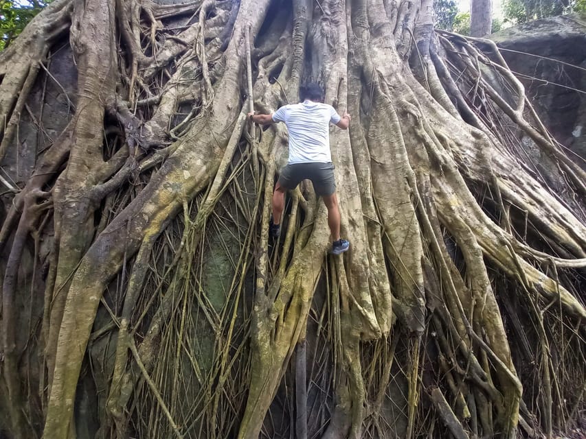 Tien Son Dinh 1-Day Trekking Tour Phu Quoc - What Happens During the Trek: Plants, Footing, and Forest Life