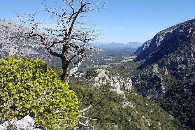 Tiscali mount guided hike - Who this Monte Tiscali hike is best for