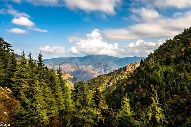 Top Tibba Trek - Mussoorie - Who this hike is best for